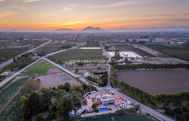 Country Property/Finca - Resale - Daya Nueva - Daya Nueva