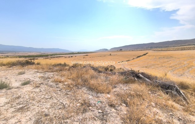 Country Property/Finca - Resale - Jumilla - Inland