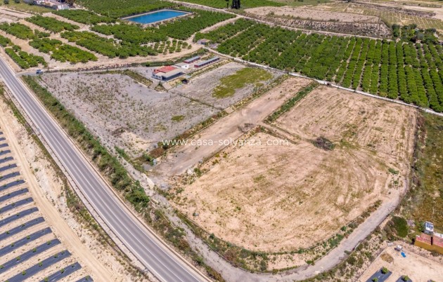 Country Property/Finca - Resale - Los Montesinos - Los Montesinos
