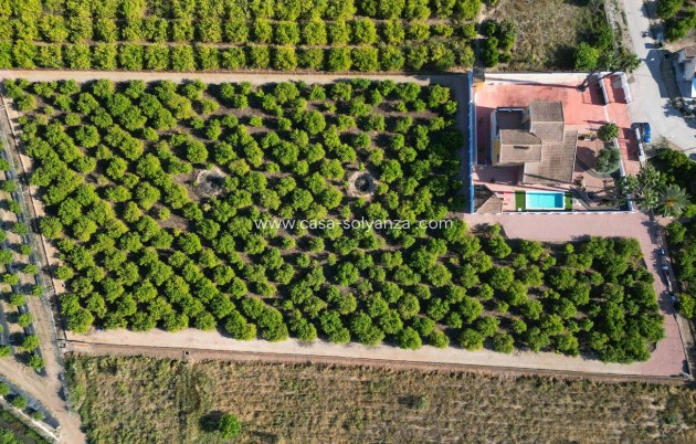 Country Property/Finca - Resale - Orihuela - Inland