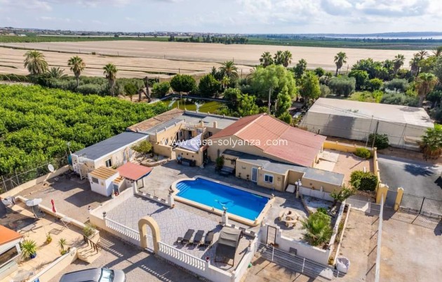 Country Property/Finca - Reventa - Los Montesinos - Costa Blanca