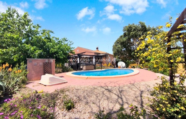Country Property/Finca - Reventa - Orihuela - Orihuela