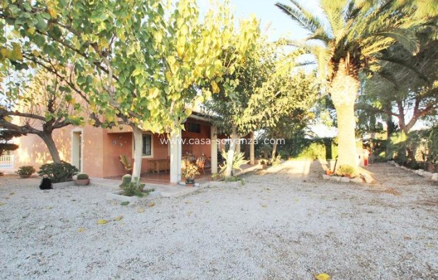 Country Property/Finca - Revente - Almoradí - Comunidad Valenciana