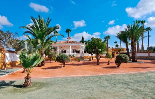 Country Property/Finca - Revente - Catral - Catral - Country