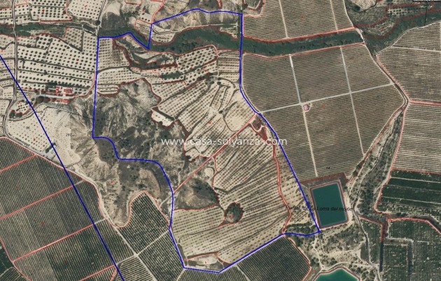 Country Property/Finca - Revente - Torremendo - Torremendo