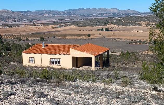 Country Property/Finca - Revente - Yecla - Inland