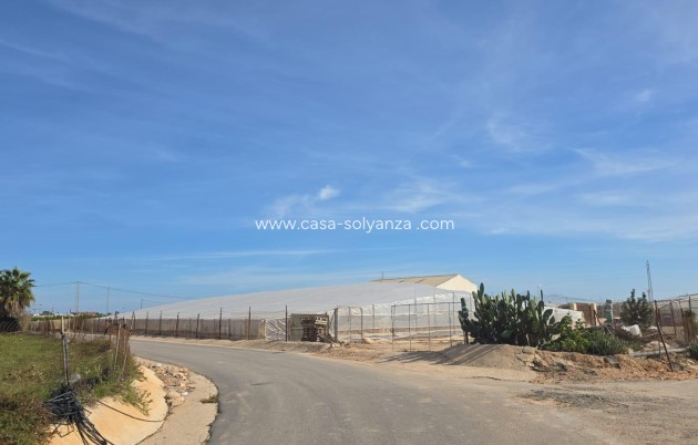 Country Property/Finca - Wiederverkauf - Pilar de la Horadada - CSRES-46114