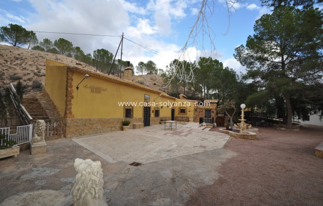 Country Property/Finca - Wiederverkauf - Pinoso - Inland