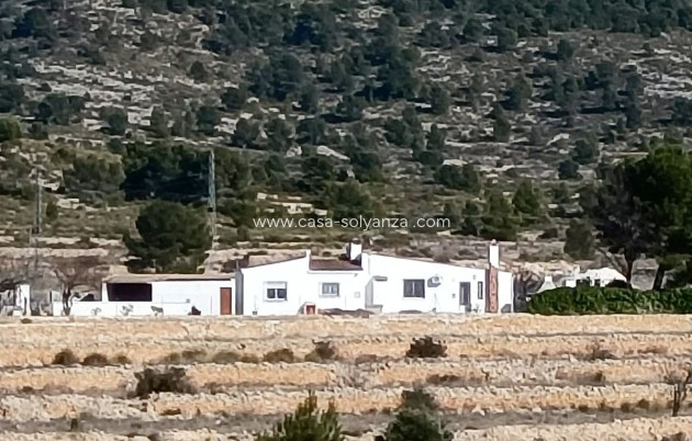 Equestrian property - Resale - Monóvar - Monóvar