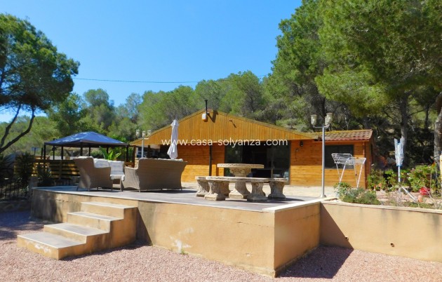 Finca / Country Property - Resale - Torremendo - Torremendo