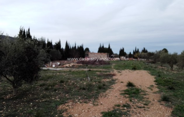 Finca / Country Property - Wiederverkauf - Caudete - Caudete