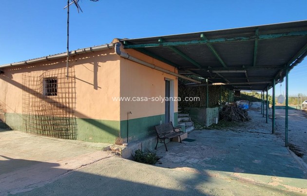 Finca / Country Property - Wiederverkauf - San Miguel de Salinas - San Miguel de Salinas