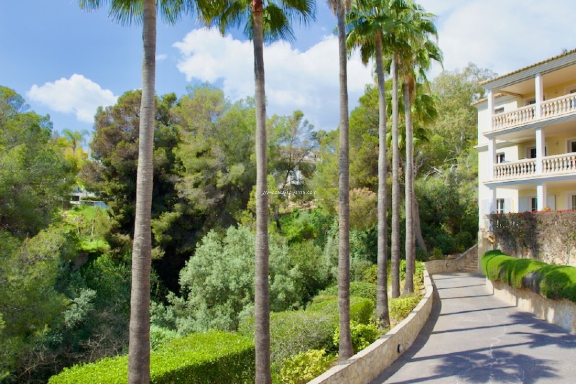 Herverkoop - Apartment - Ground Floor - Portals Nous - Calvià