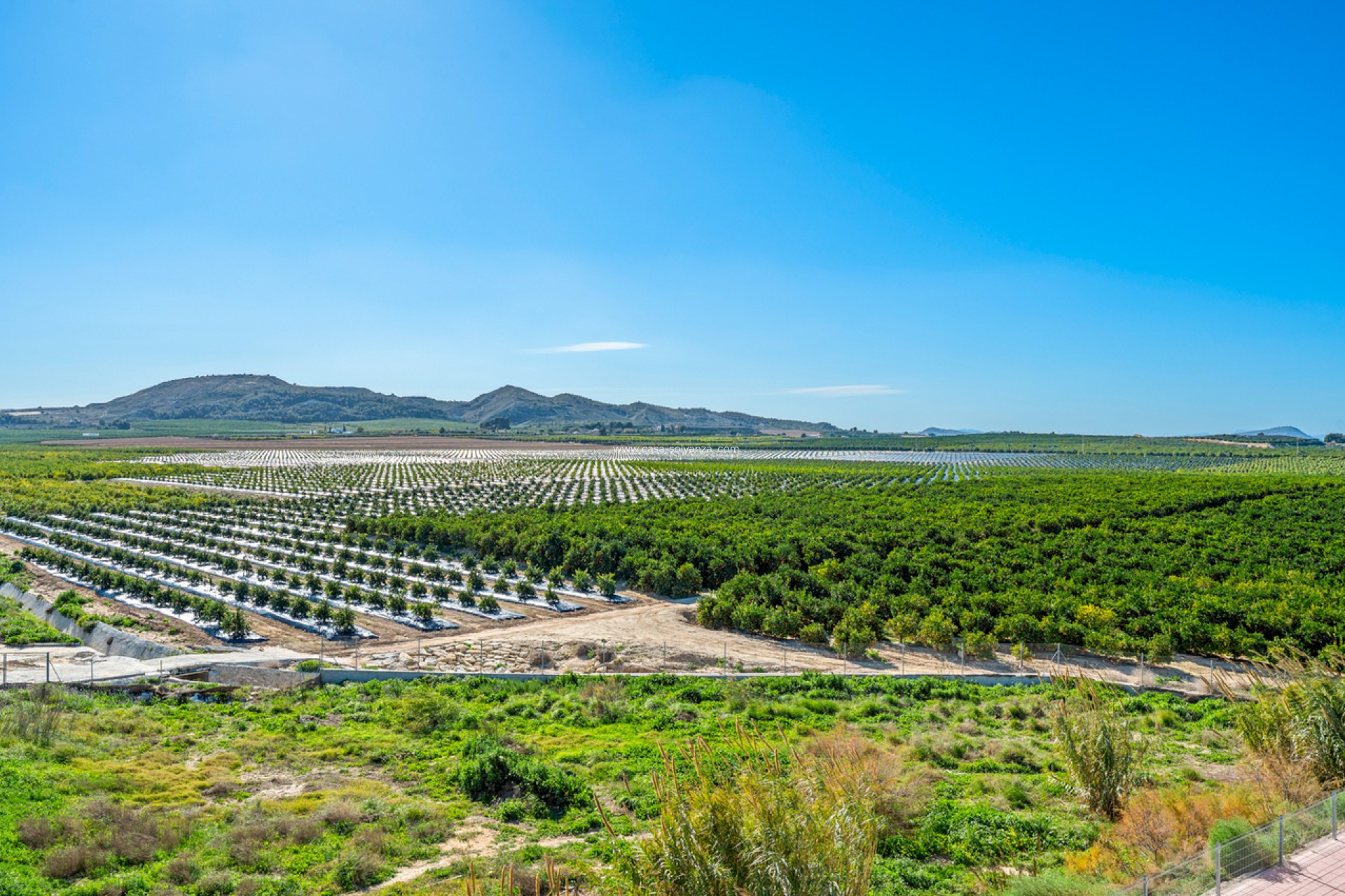 Herverkoop - Appartement / flat - Algorfa - Inland