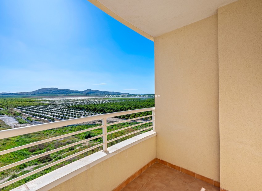 Herverkoop - Appartement / flat - Algorfa - Inland