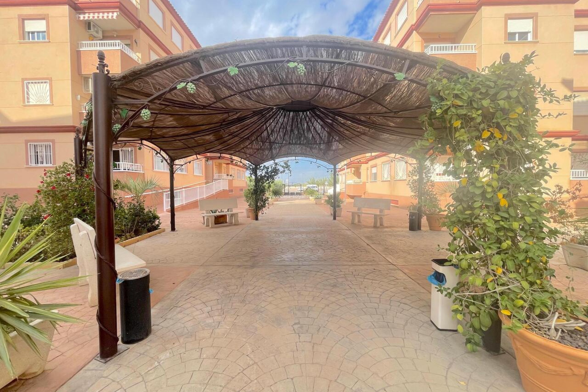 Herverkoop - Appartement / flat - Algorfa