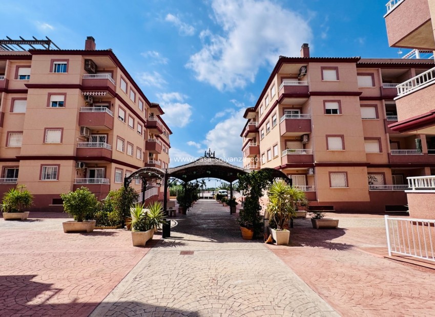 Herverkoop - Appartement / flat - Algorfa