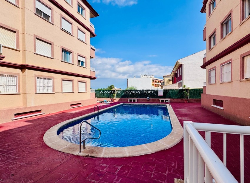 Herverkoop - Appartement / flat - Algorfa