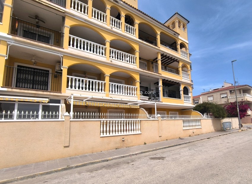 Herverkoop - Appartement / flat - Algorfa