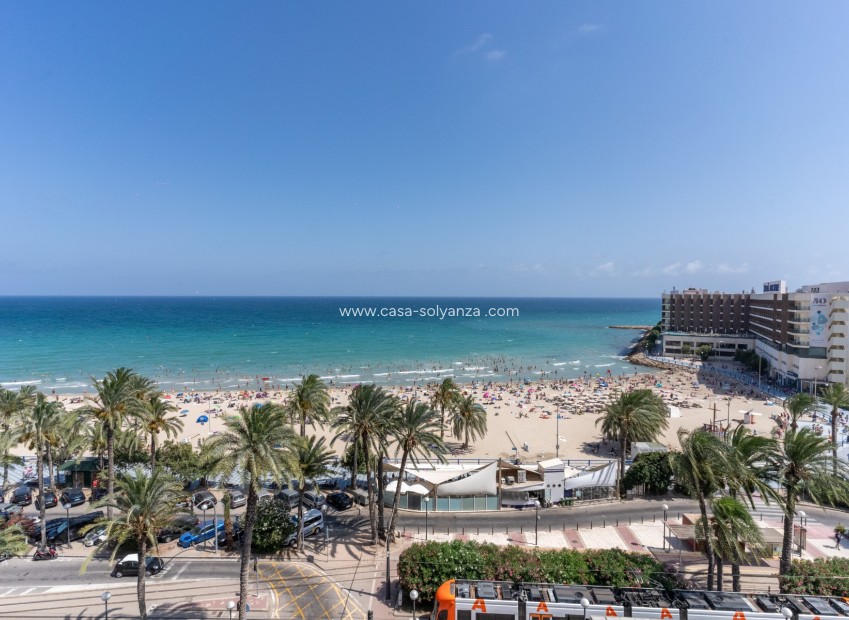Herverkoop - Appartement / flat - Alicante - Costa Blanca