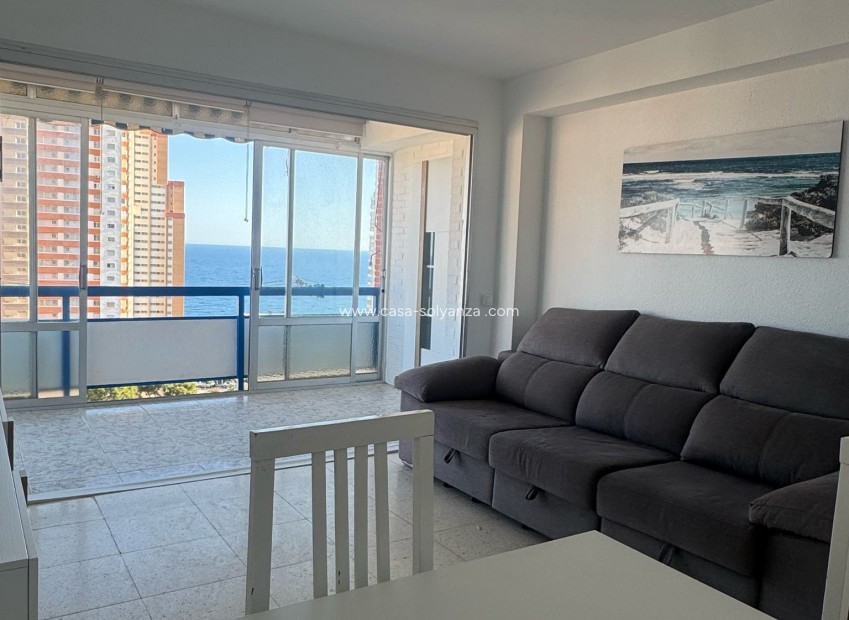 Herverkoop - Appartement / flat - Benidorm - Costa Blanca