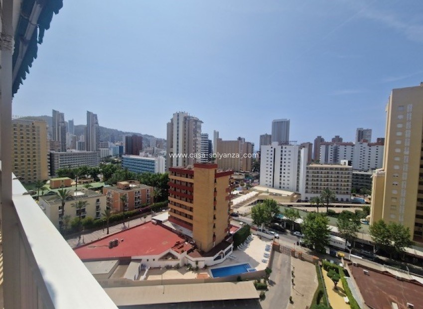 Herverkoop - Appartement / flat - Benidorm - Costa Blanca