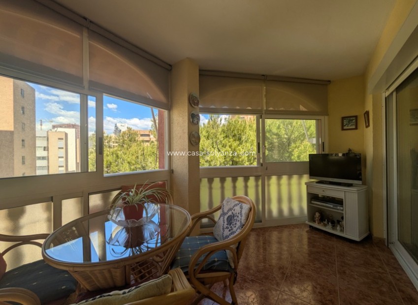 Herverkoop - Appartement / flat - Benidorm - Costa Blanca