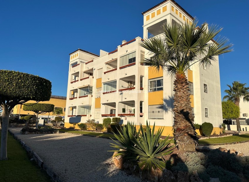 Herverkoop - Appartement / flat - Campoamor - Costa Blanca