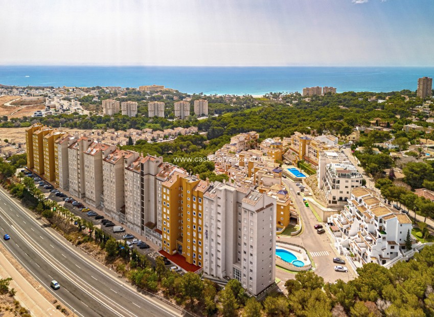 Herverkoop - Appartement / flat - Campoamor - Dehesa de Campoamor