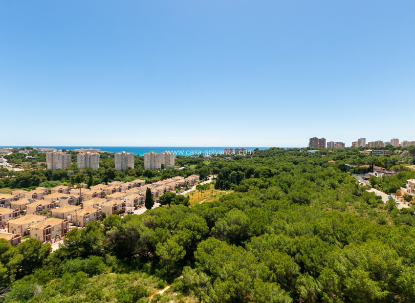 Herverkoop - Appartement / flat - Campoamor - Dehesa de Campoamor