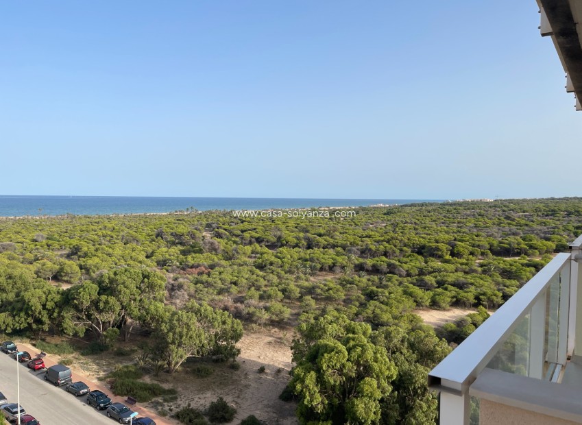 Herverkoop - Appartement / flat - Guardamar del Segura - Costa Blanca