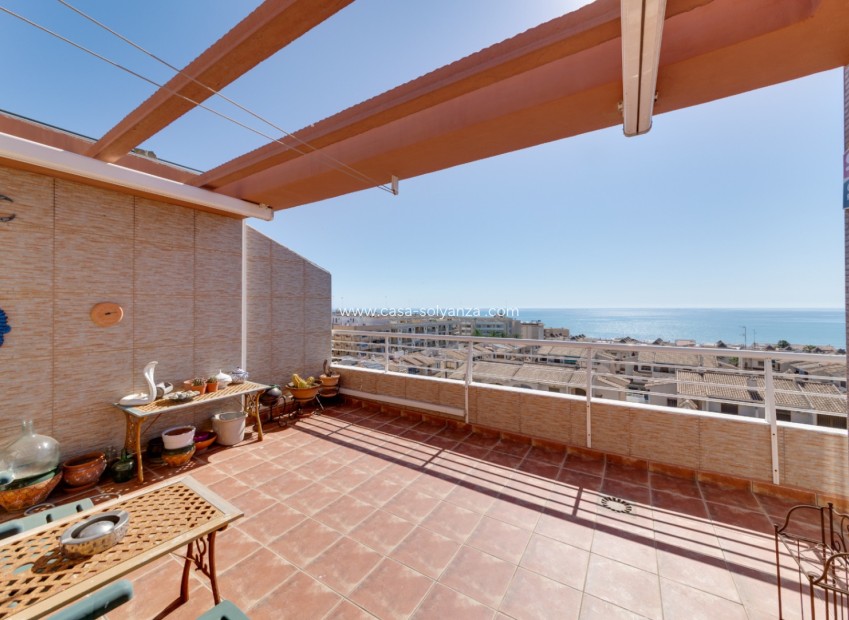 Herverkoop - Appartement / flat - Guardamar del Segura - Costa Blanca