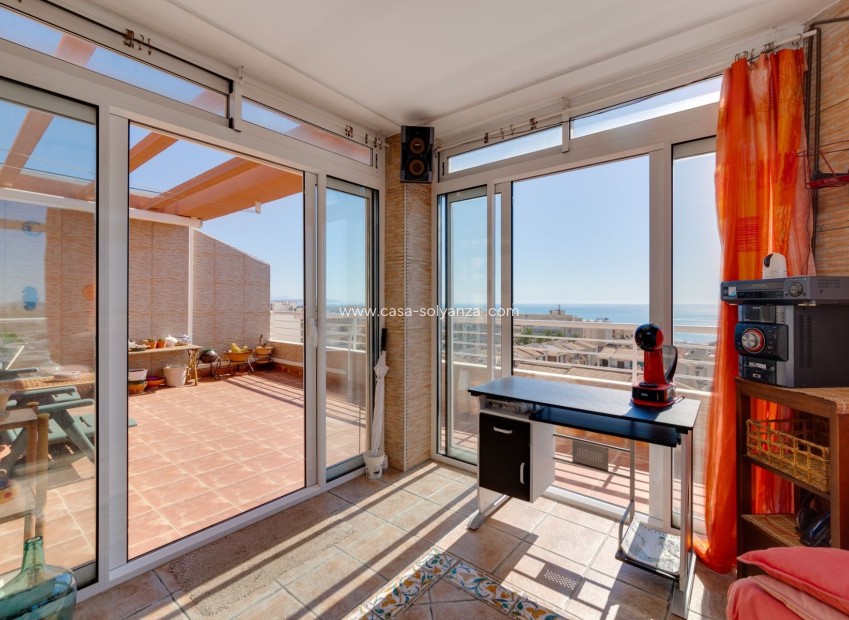 Herverkoop - Appartement / flat - Guardamar del Segura - Costa Blanca