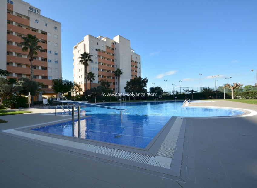 Herverkoop - Appartement / flat - Guardamar del Segura - Costa Blanca
