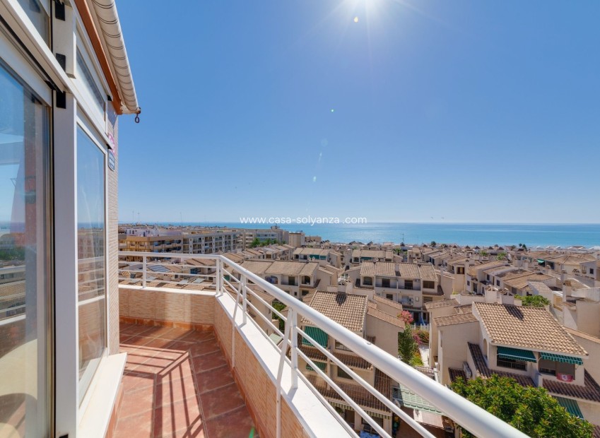 Herverkoop - Appartement / flat - Guardamar del Segura - Costa Blanca