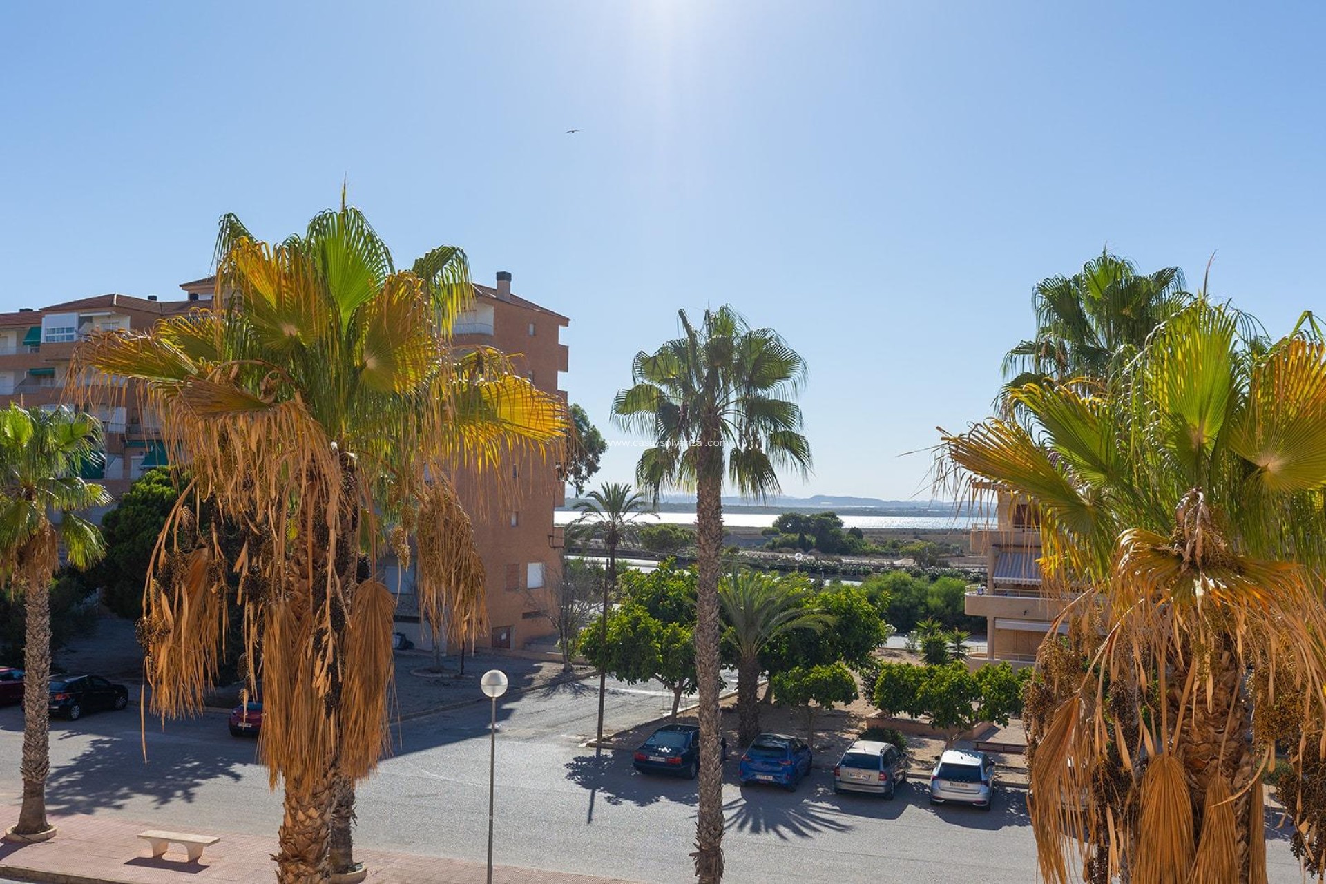 Herverkoop - Appartement / flat - Guardamar del Segura - Costa Blanca