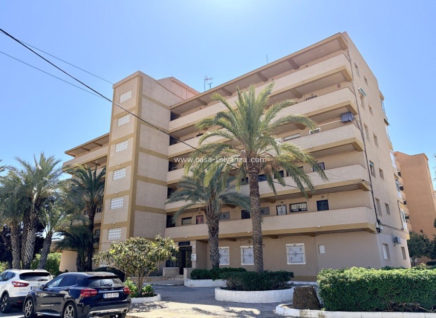 Herverkoop - Appartement / flat - Guardamar del Segura - Costa Blanca