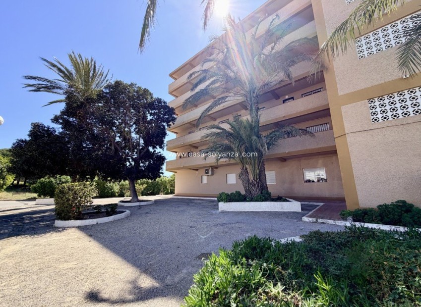 Herverkoop - Appartement / flat - Guardamar del Segura - Costa Blanca