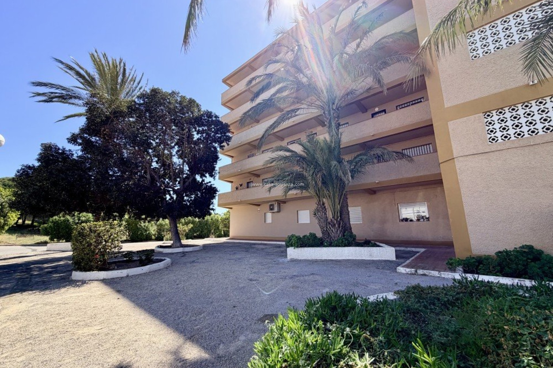 Herverkoop - Appartement / flat - Guardamar del Segura - Costa Blanca