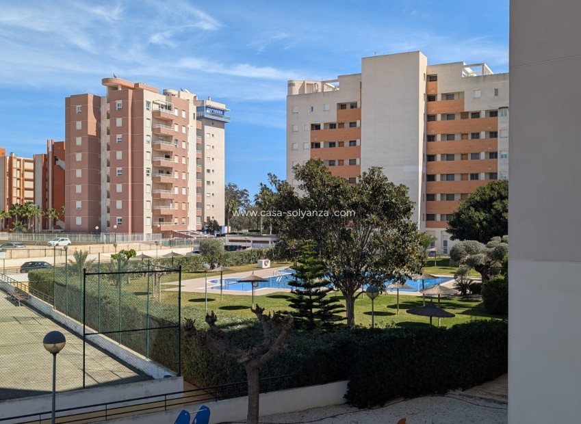 Herverkoop - Appartement / flat - Guardamar del Segura - Costa Blanca