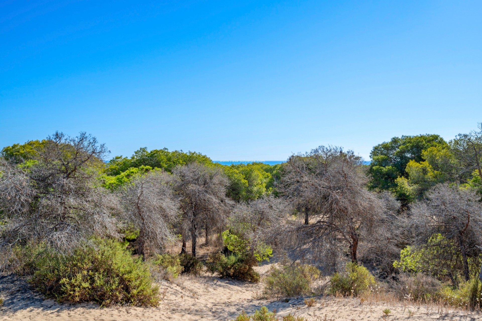 Herverkoop - Appartement / flat - Guardamar del Segura - Guardamar