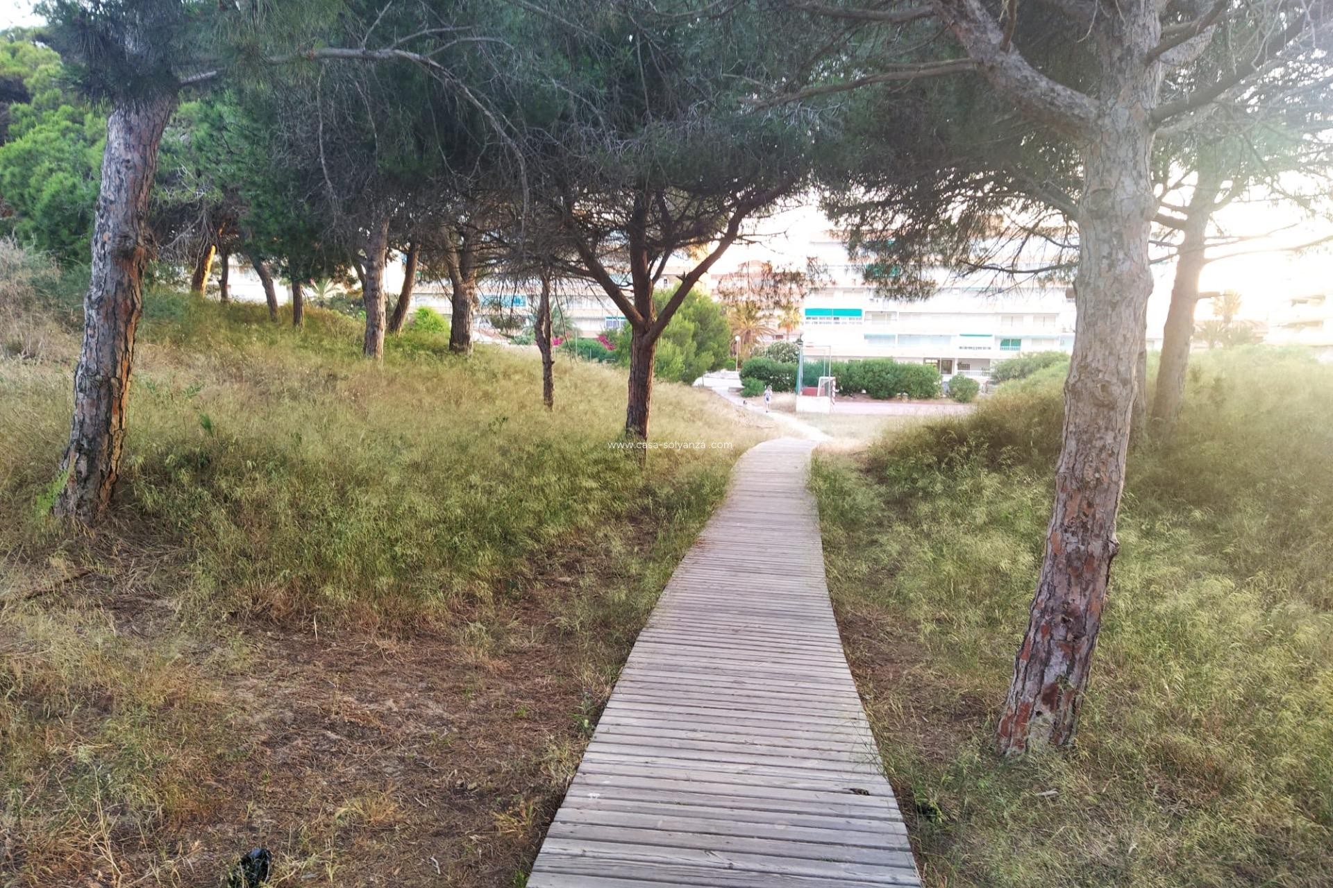 Herverkoop - Appartement / flat - Guardamar del Segura - Pinomar