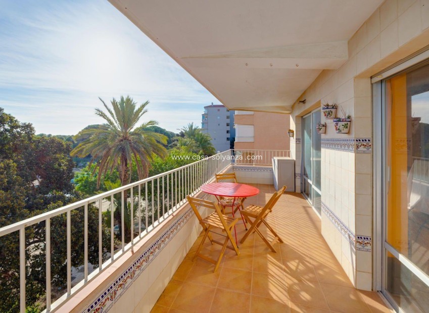 Herverkoop - Appartement / flat - Guardamar del Segura - Pinomar