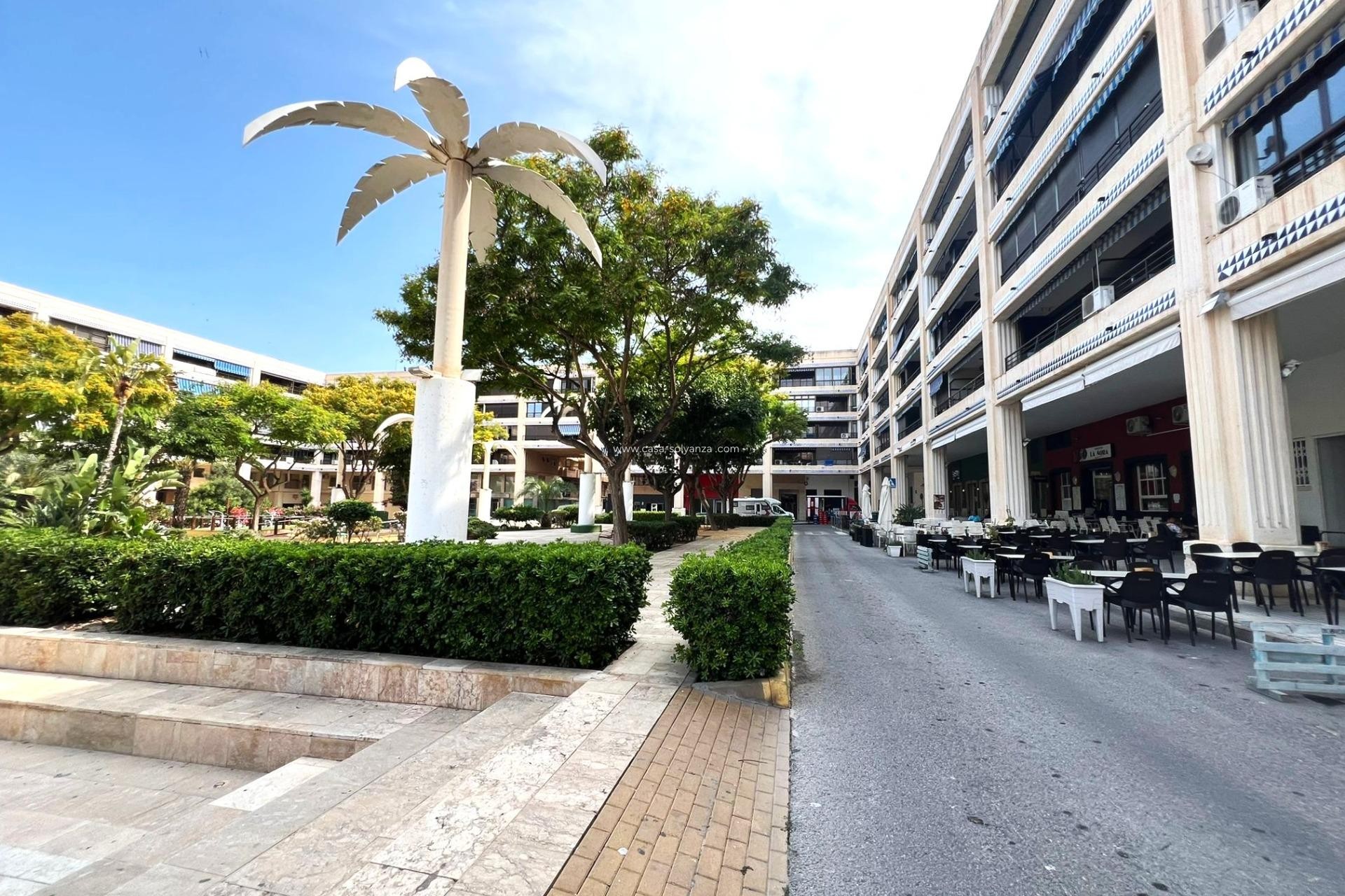 Herverkoop - Appartement / flat - Guardamar del Segura - Pueblo