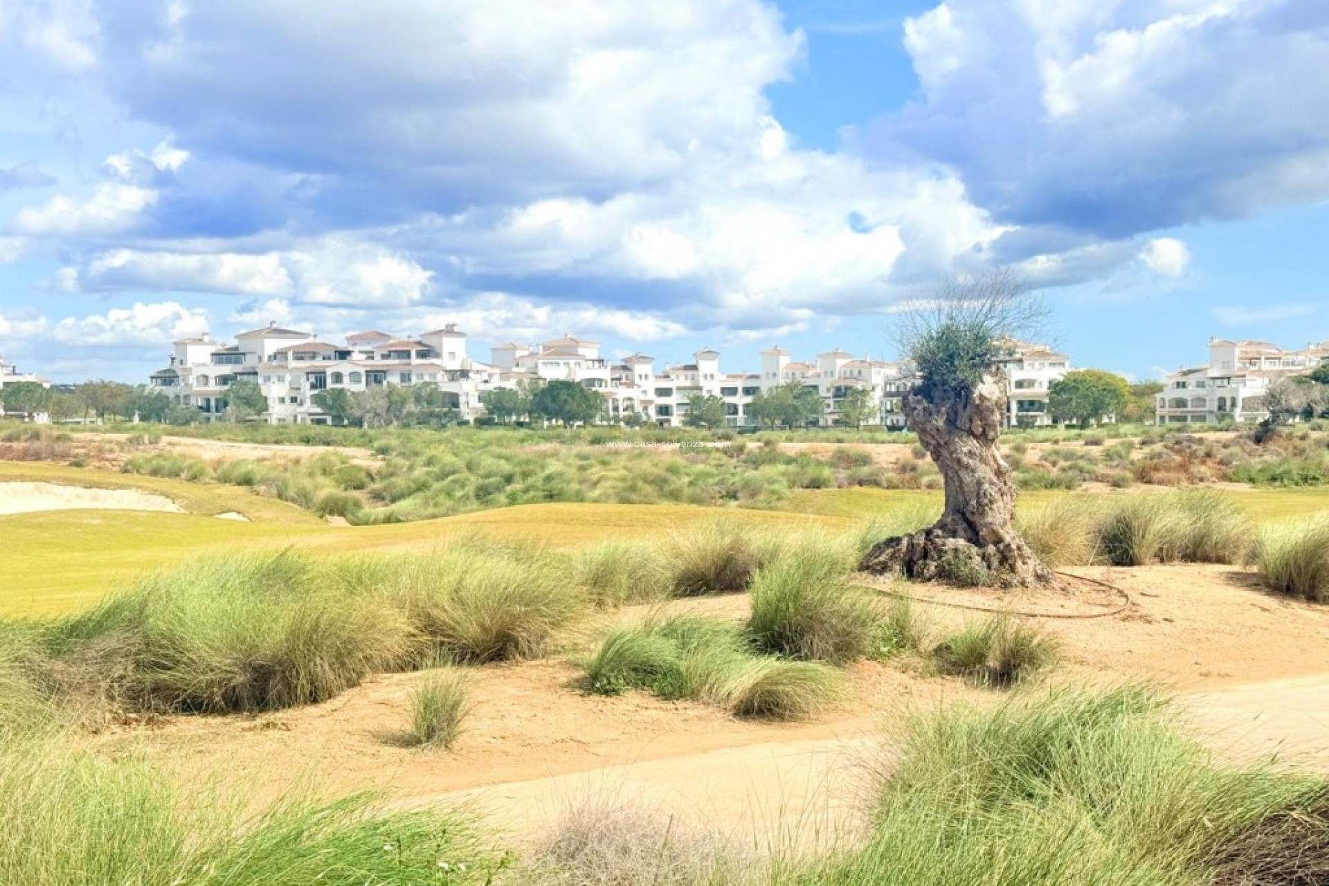 Herverkoop - Appartement / flat - Hacienda Riquelme Golf Resort - Inland