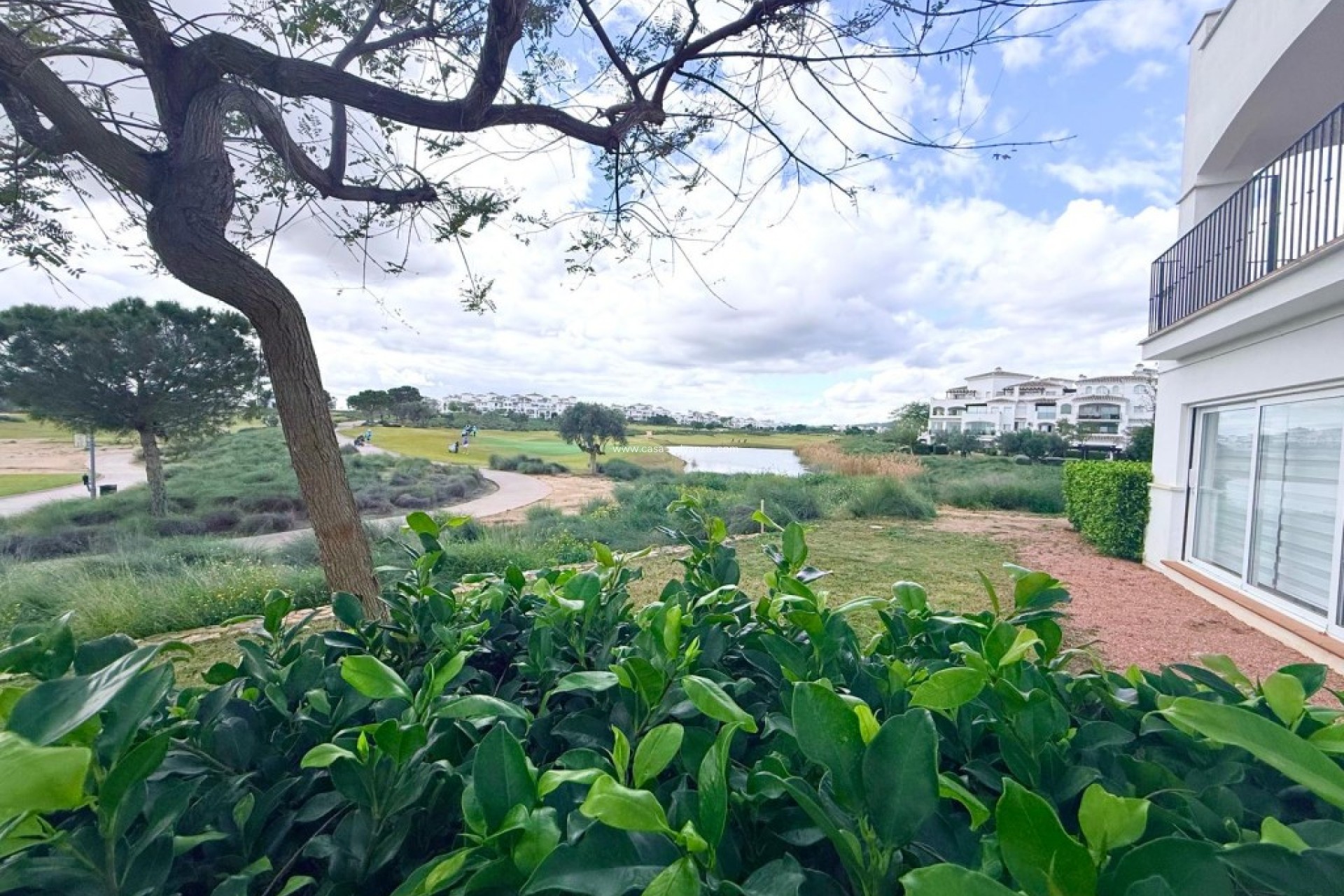 Herverkoop - Appartement / flat - Hacienda Riquelme Golf Resort - Inland