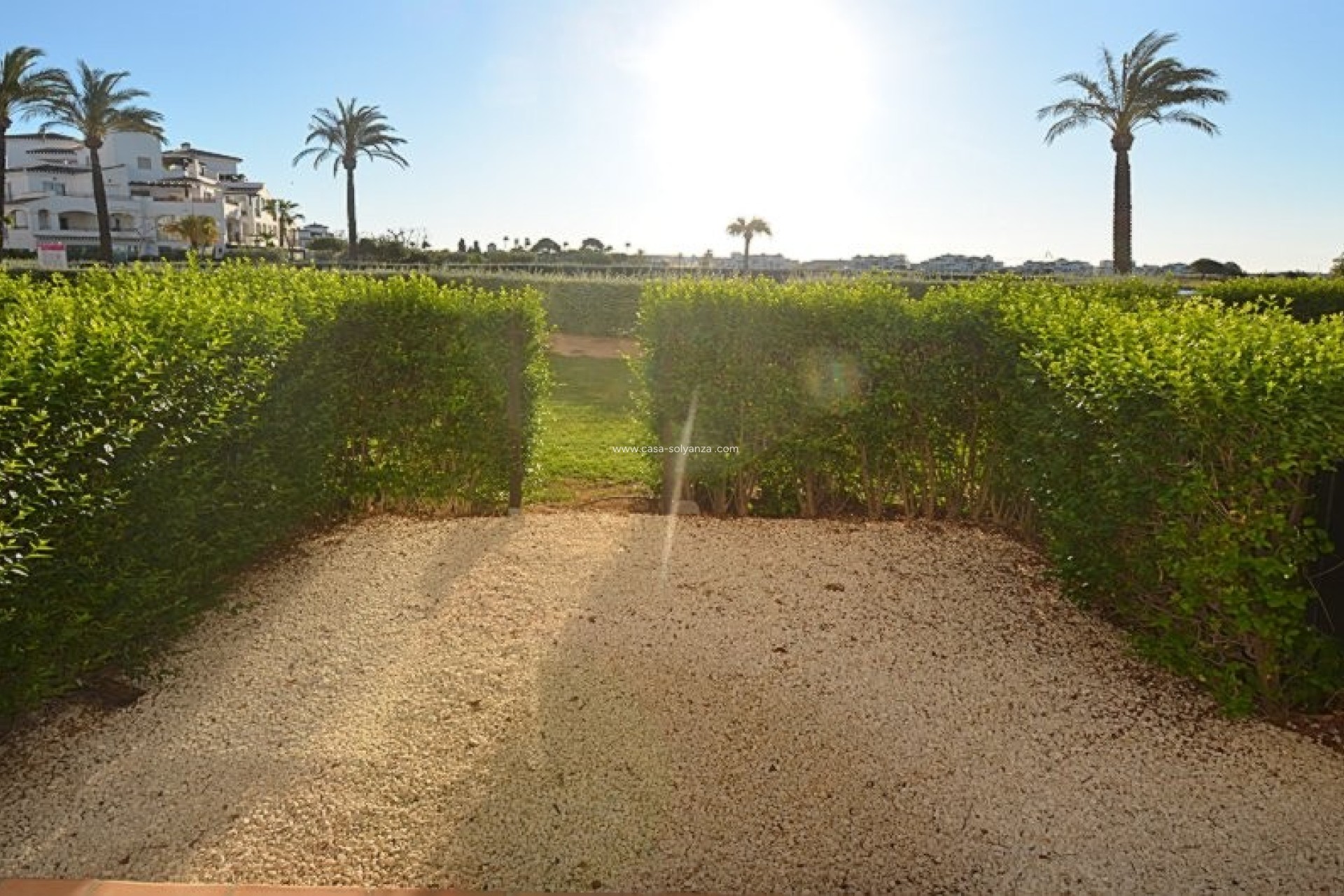 Herverkoop - Appartement / flat - Hacienda Riquelme Golf Resort - Inland