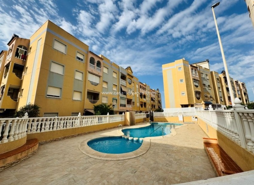 Herverkoop - Appartement / flat - La Mata - Costa Blanca