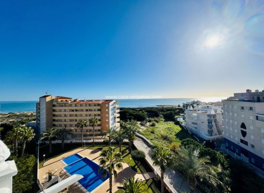 Herverkoop - Appartement / flat - La Mata - Costa Blanca