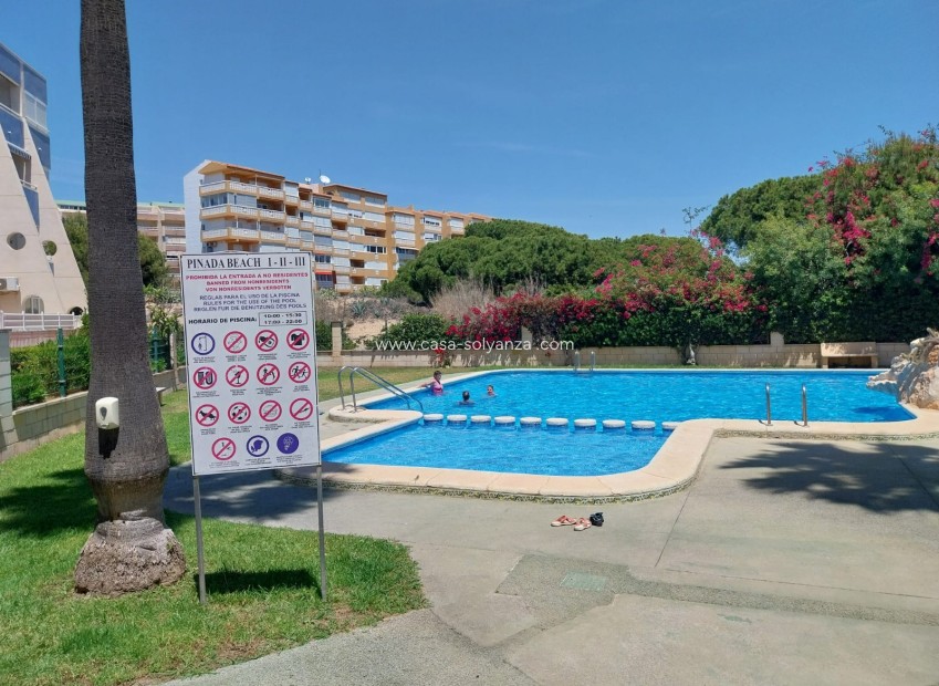 Herverkoop - Appartement / flat - La Mata - Costa Blanca